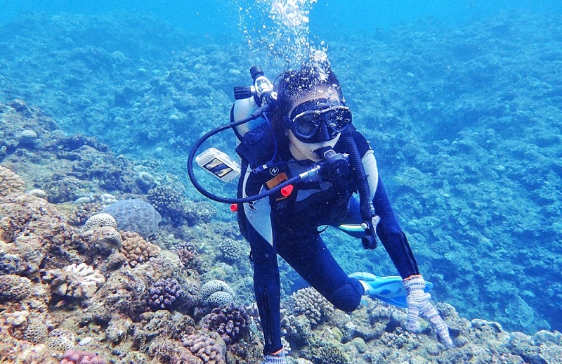 密封防水膠,水泵密封膠用什么膠,密封膠生產廠家