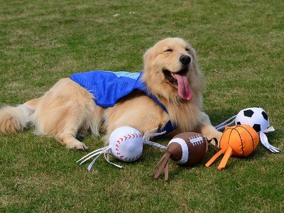 橡膠粘接膠水，聚力高濃度快干膠成功應用